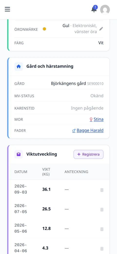 Ett lamms sida i Stalljournalen: gult elektroniskt öronmärke i vänster öra, gård, karenstid, mor och fader, och viktutvecklingen från 4,3 till 36,1 kilo med knappen Registrera.